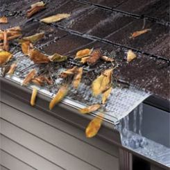 Gutter Screen
